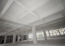 （热门）合肥1380平框架一楼4个大门 4.6米挑高适合轻工电子仓储行业合厂房出租单层 - 园区产业