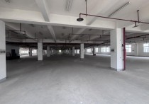 （热门）南京天保凤集大道雨花板桥开发区5000平厂房出租丙二消防带货梯形象好配套齐2500平独门独院