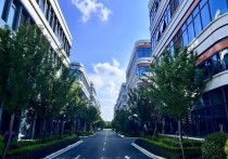 上海松江华滨联东U谷厂房出租 104地块可环评 汽车零部件医疗器械 首层7.2米(9)