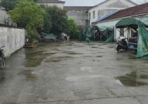 （热门）南京湖熟郭庄镇湖熟边独门独院厂房出租1000平方挑高4米适合小单层 - 园区产业招商网